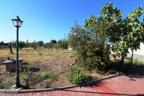 Quinta com moradia T4, piscina com jardim, garagem e vinhas, em Campo Maior