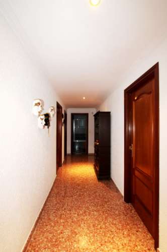 Quinta com moradia T4, piscina com jardim, garagem e vinhas, em Campo Maior