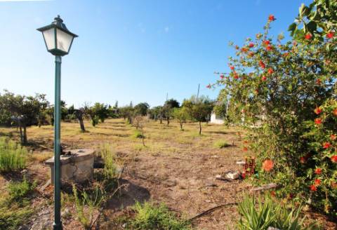 Quinta com moradia T4, piscina com jardim, garagem e vinhas, em Campo Maior