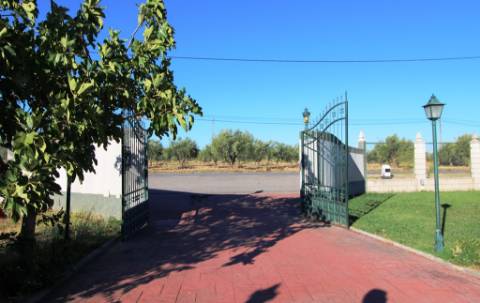 Quinta com moradia T4, piscina com jardim, garagem e vinhas, em Campo Maior