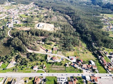Lote de terreno de 60841m2 com armazém de 1200m2, em Pelariga, Pombal, Leiria