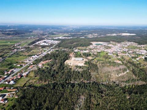 Lote de terreno de 60841m2 com armazém de 1200m2, em Pelariga, Pombal, Leiria