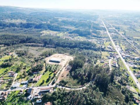 Lote de terreno de 60841m2 com armazém de 1200m2, em Pelariga, Pombal, Leiria