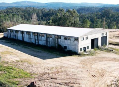 Lote de terreno de 60841m2 com armazém de 1200m2, em Pelariga, Pombal, Leiria