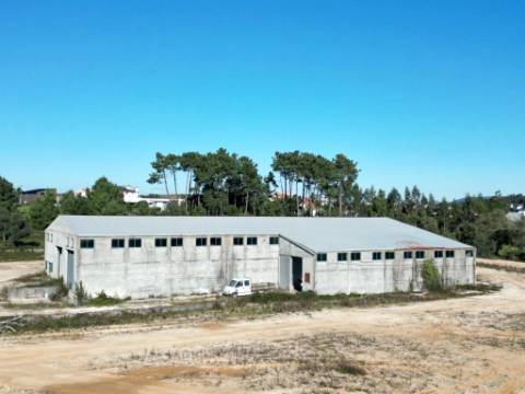 Lote de terreno de 60841m2 com armazém de 1200m2, em Pelariga, Pombal, Leiria