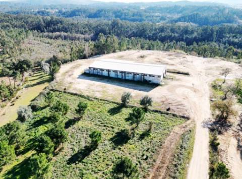 Lote de terreno de 60841m2 com armazém de 1200m2, em Pelariga, Pombal, Leiria