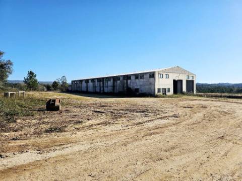 Lote de terreno de 60841m2 com armazém de 1200m2, em Pelariga, Pombal, Leiria