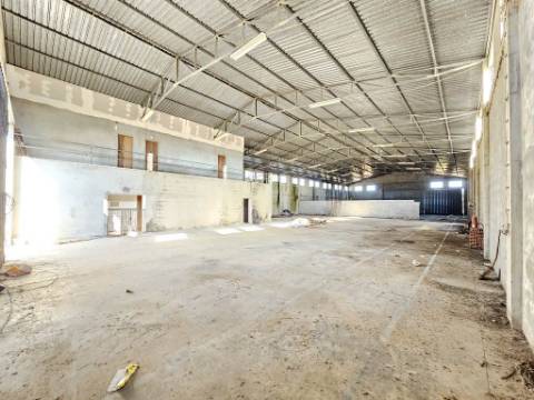 Lote de terreno de 60841m2 com armazém de 1200m2, em Pelariga, Pombal, Leiria