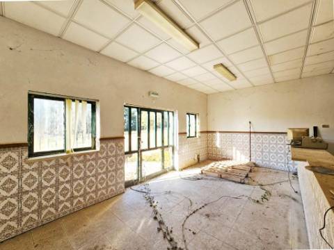 Lote de terreno de 60841m2 com armazém de 1200m2, em Pelariga, Pombal, Leiria