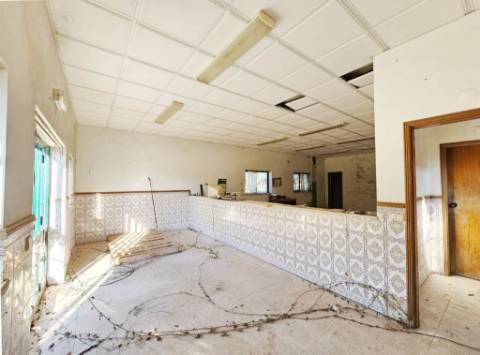 Lote de terreno de 60841m2 com armazém de 1200m2, em Pelariga, Pombal, Leiria