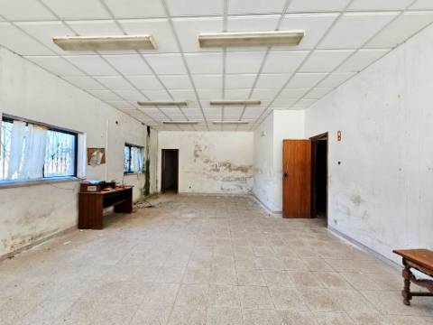 Lote de terreno de 60841m2 com armazém de 1200m2, em Pelariga, Pombal, Leiria