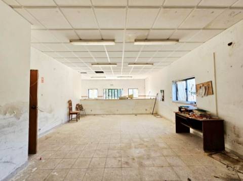 Lote de terreno de 60841m2 com armazém de 1200m2, em Pelariga, Pombal, Leiria