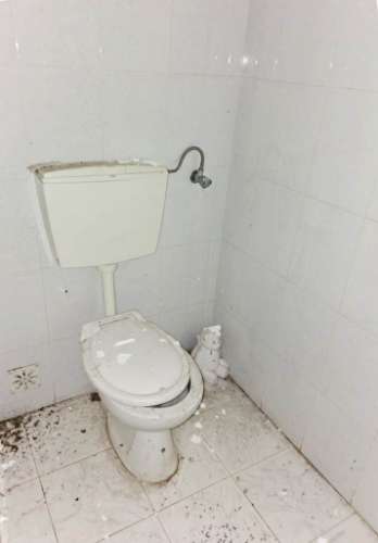 Lote de terreno de 60841m2 com armazém de 1200m2, em Pelariga, Pombal, Leiria