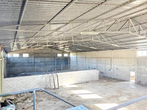 Lote de terreno de 60841m2 com armazém de 1200m2, em Pelariga, Pombal, Leiria