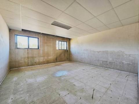 Lote de terreno de 60841m2 com armazém de 1200m2, em Pelariga, Pombal, Leiria