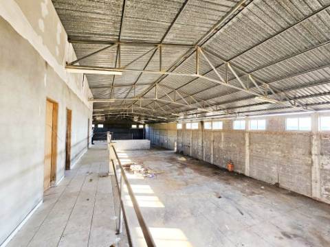 Lote de terreno de 60841m2 com armazém de 1200m2, em Pelariga, Pombal, Leiria