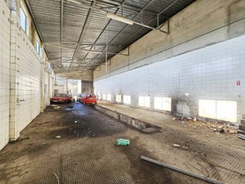 Lote de terreno de 60841m2 com armazém de 1200m2, em Pelariga, Pombal, Leiria