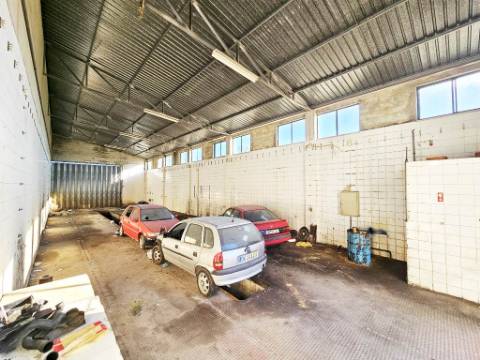 Lote de terreno de 60841m2 com armazém de 1200m2, em Pelariga, Pombal, Leiria