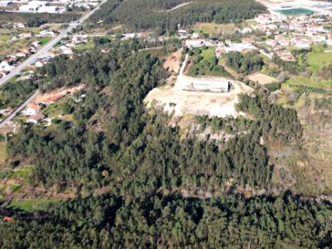 Lote de terreno de 60841m2 com armazém de 1200m2, em Pelariga, Pombal, Leiria