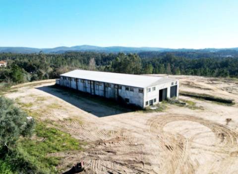 Lote de terreno de 60841m2 com armazém de 1200m2, em Pelariga, Pombal, Leiria