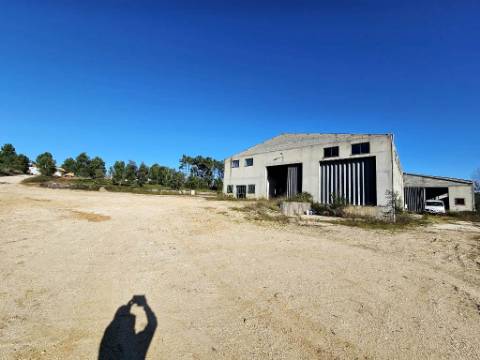 Lote de terreno de 60841m2 com armazém de 1200m2, em Pelariga, Pombal, Leiria