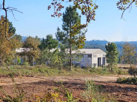 Lote de terreno de 60841m2 com armazém de 1200m2, em Pelariga, Pombal, Leiria