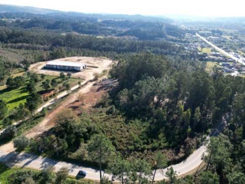 Armazém de 1200m2 em lote de 60841m2, em Pelariga, Pombal, Leiria