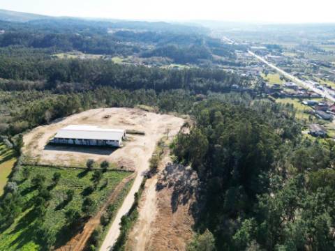 Armazém de 1200m2 em lote de 60841m2, em Pelariga, Pombal, Leiria