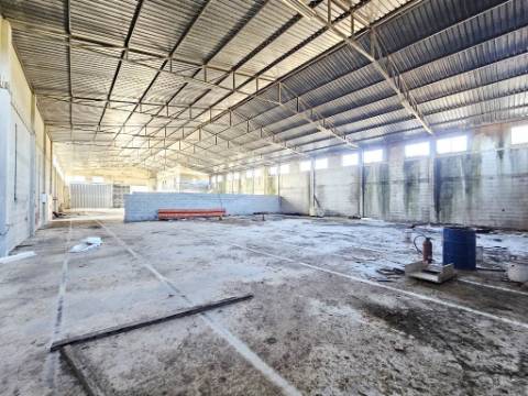 Armazém de 1200m2 em lote de 60841m2, em Pelariga, Pombal, Leiria