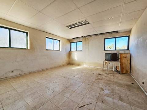 Armazém de 1200m2 em lote de 60841m2, em Pelariga, Pombal, Leiria