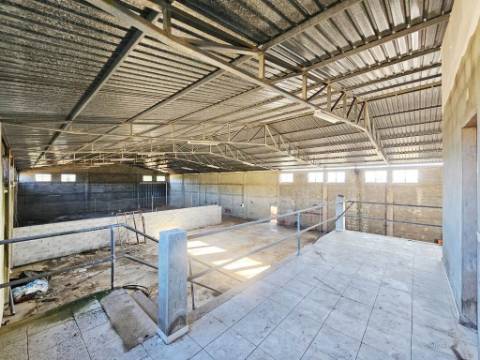 Armazém de 1200m2 em lote de 60841m2, em Pelariga, Pombal, Leiria