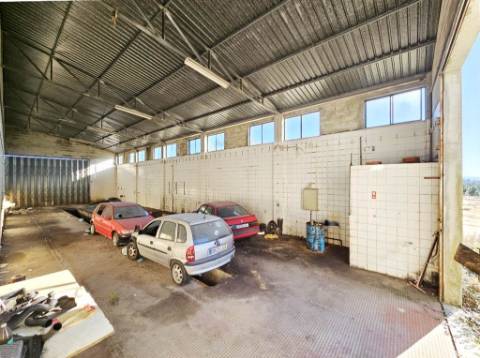 Armazém de 1200m2 em lote de 60841m2, em Pelariga, Pombal, Leiria