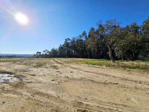 Armazém de 1200m2 em lote de 60841m2, em Pelariga, Pombal, Leiria