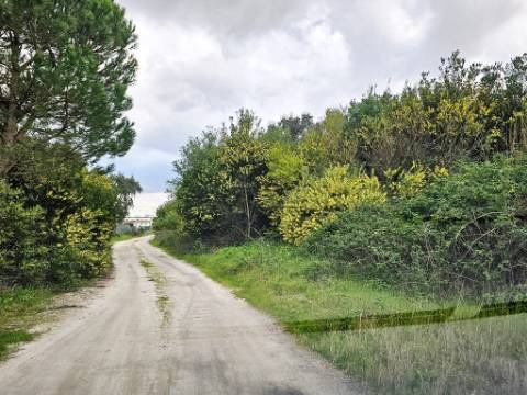 Terreno de 108.508m2 com PIP aprovado para a construção de 34.931m2 em Pegões-Gare, Montijo, Setúbal