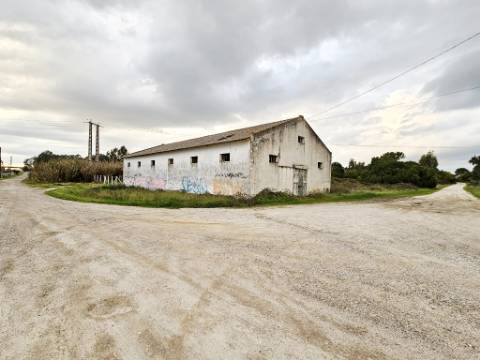 Terreno de 108.508m2 com PIP aprovado para a construção de 34.931m2 em Pegões-Gare, Montijo, Setúbal