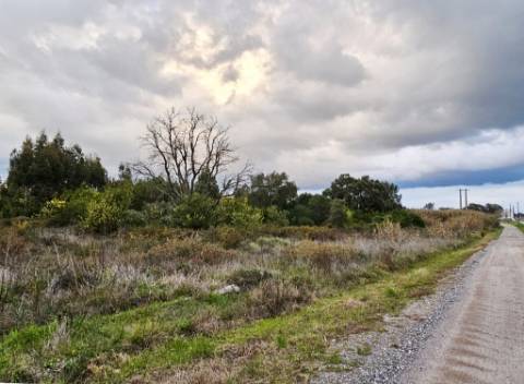 Terreno de 108.508m2 com PIP aprovado para a construção de 34.931m2 em Pegões-Gare, Montijo, Setúbal
