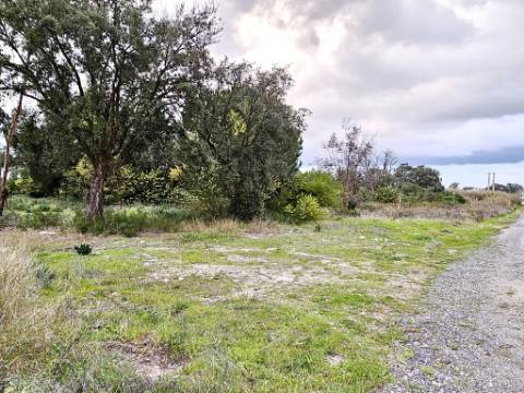 Terreno de 108.508m2 com PIP aprovado para a construção de 34.931m2 em Pegões-Gare, Montijo, Setúbal