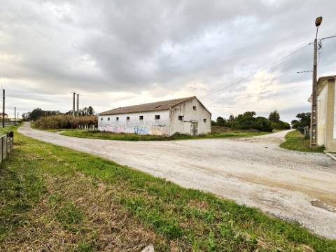 Terreno de 108.508m2 com PIP aprovado para a construção de 34.931m2 em Pegões-Gare, Montijo, Setúbal