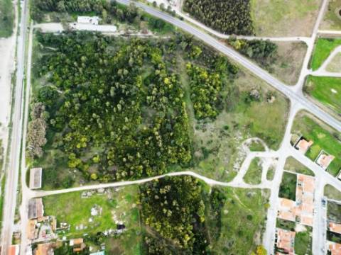 Terreno de 108.508m2 com PIP aprovado para a construção de 34.931m2 em Pegões-Gare, Montijo, Setúbal