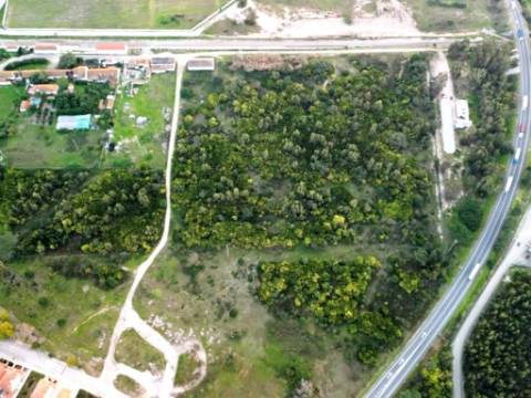 Terreno de 108.508m2 com PIP aprovado para a construção de 34.931m2 em Pegões-Gare, Montijo, Setúbal