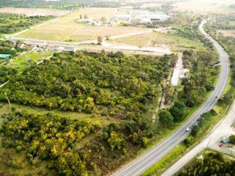Terreno de 108.508m2 com PIP aprovado para a construção de 34.931m2 em Pegões-Gare, Montijo, Setúbal