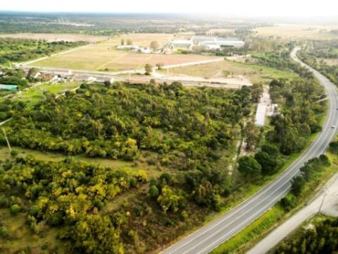 Terreno de 108.508m2 com PIP aprovado para a construção de 34.931m2 em Pegões-Gare, Montijo, Setúbal