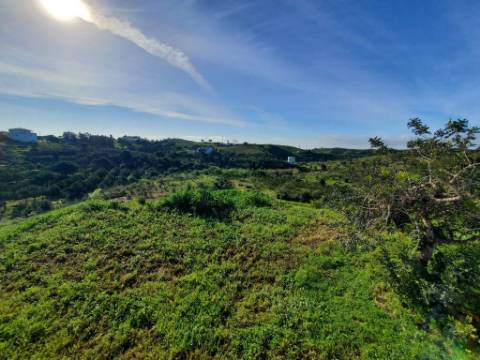 Moradia com Piscina e Amplo Terreno em Tavira.
