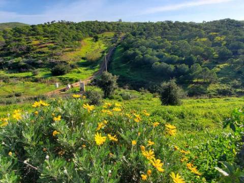 Moradia com Piscina e Amplo Terreno em Tavira.