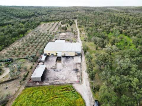 Armazém Industrial na Chamusca, Santarém