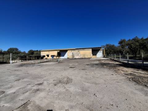 Armazém Industrial na Chamusca, Santarém