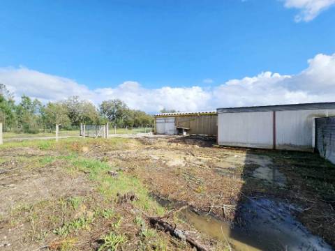 Armazém Industrial na Chamusca, Santarém