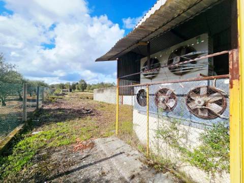 Armazém Industrial na Chamusca, Santarém