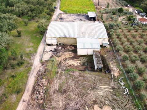 Armazém Industrial na Chamusca, Santarém