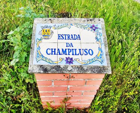 Armazém Industrial na Chamusca, Santarém